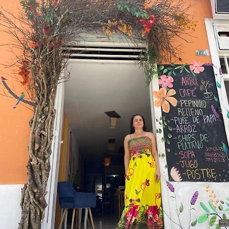 Arbol Cafe 호텔 Caicedonia 외부 사진
