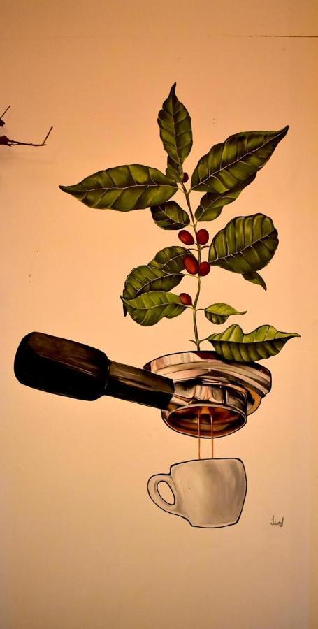 Arbol Cafe 호텔 Caicedonia 외부 사진