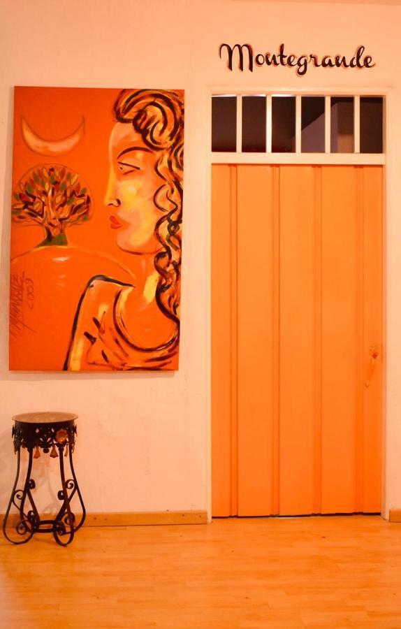 Arbol Cafe 호텔 Caicedonia 외부 사진